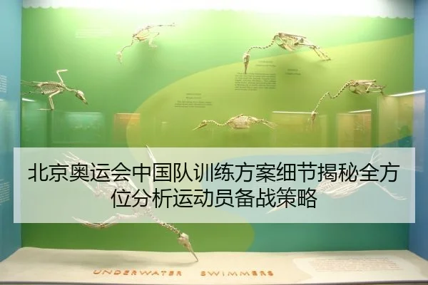北京奥运会中国队训练方案细节揭秘全方位分析运动员备战策略