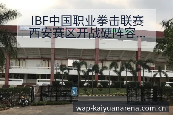 IBF中国职业拳击联赛西安赛区开战硬阵容调整影响分析及风 - 开元体育官网